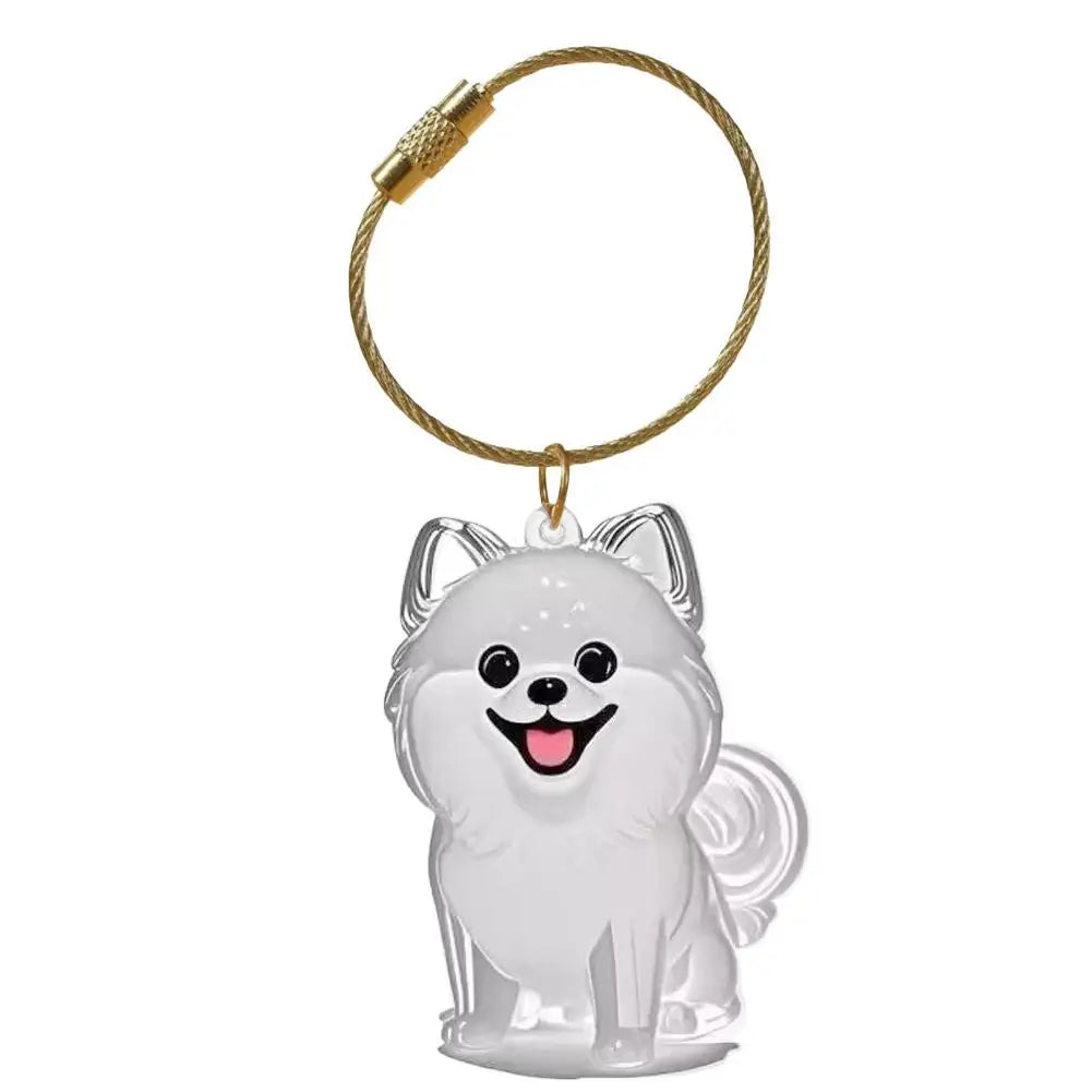 Dog Hair Memorial Keepsake Pendant Transparent Keychain