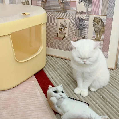 Customised Pet Photo Plush Pillow