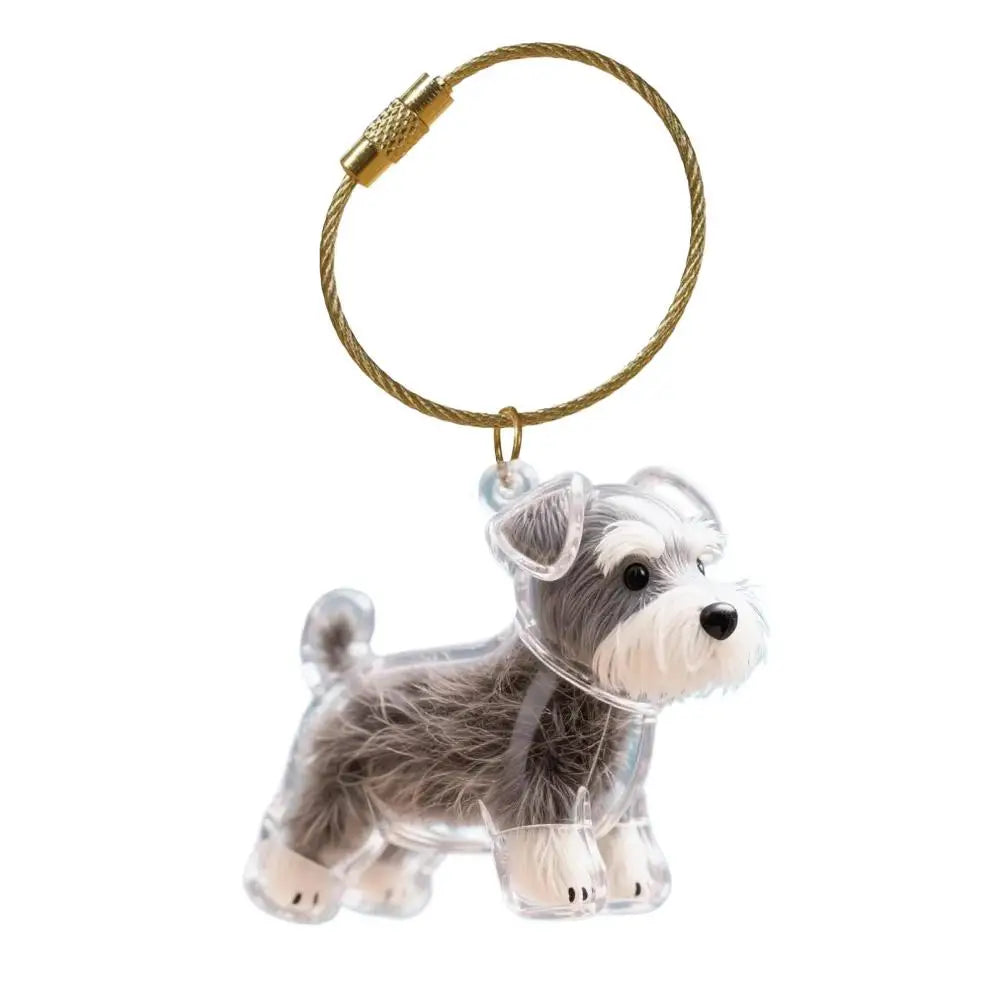 Dog Hair Memorial Keepsake Pendant Transparent Keychain