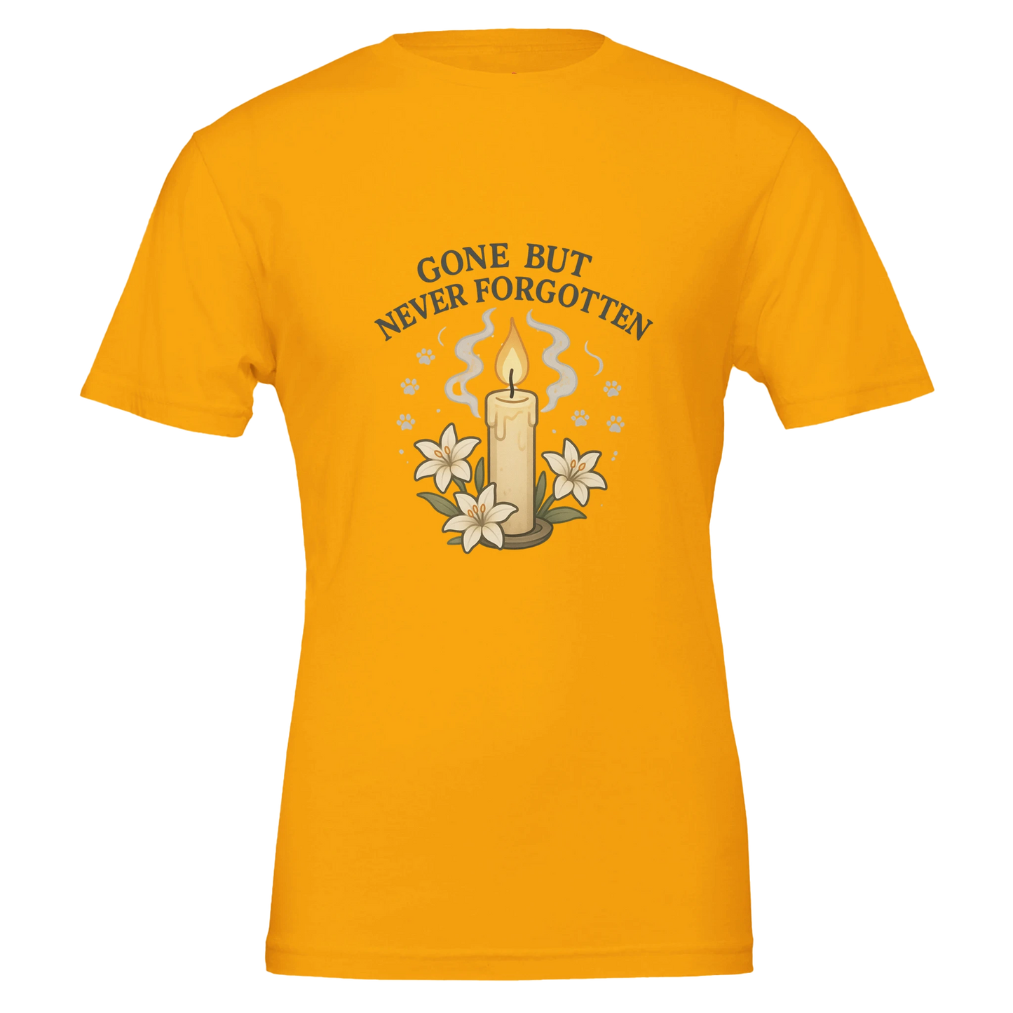 abf1ca7b-066e-4362-99f6-ff65aa700161